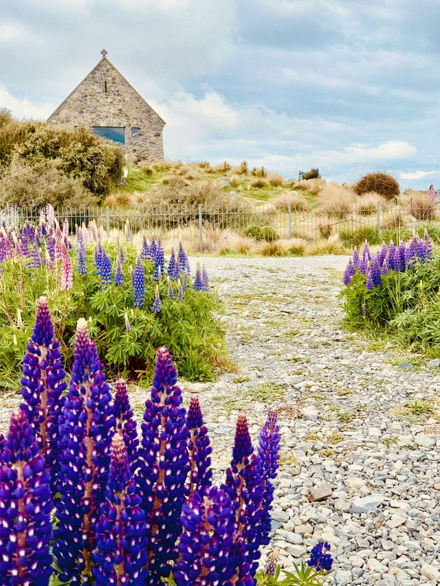 Breathtaking Lake Tekapo!