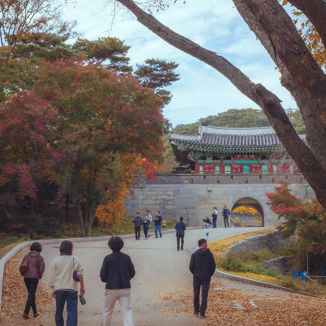 인천 가을 여행지중 세 손가락안에 드는 역대급 단풍”전등사”