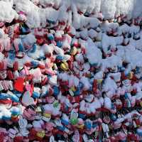 A White Wonderland: N Seoul Tower in the Snow