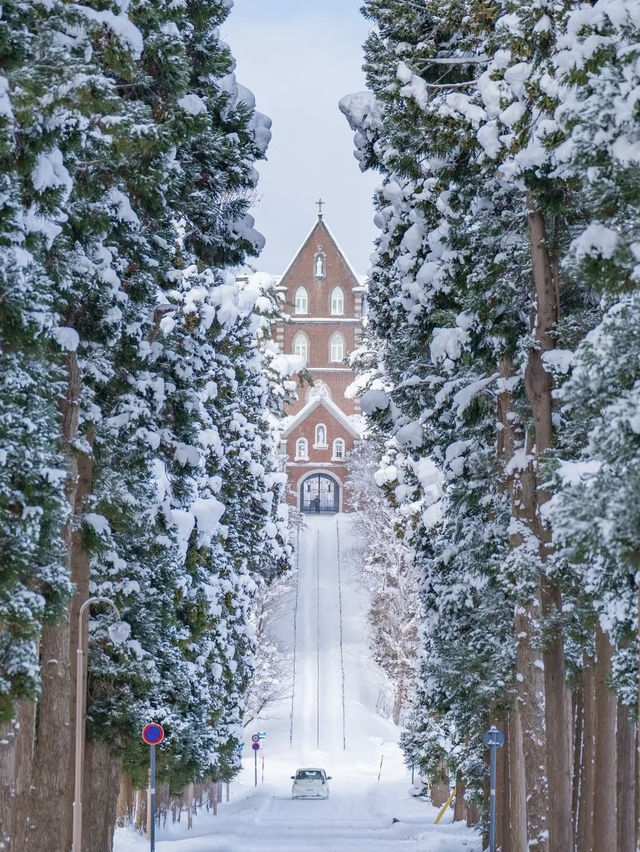 Powder Paradise: Skiing into a Christmas Wonderland in Hokkaido