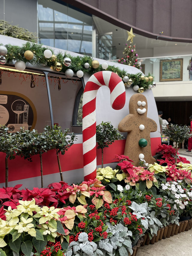 🇸🇬All Christmasy in Flower Dome 🍭 