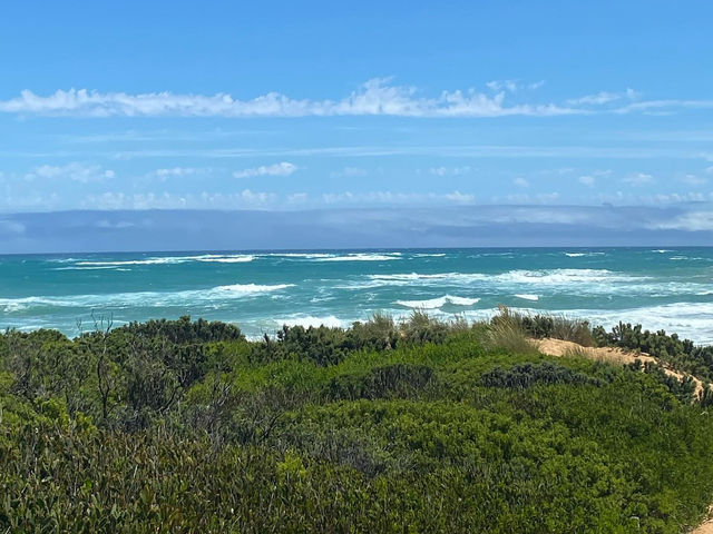 Coastal Charm: Discovering Warrnambool