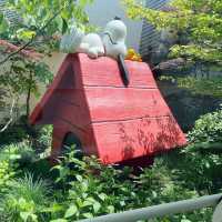 A Playful Escape at Snoopy Garden, Jeju 🇰🇷