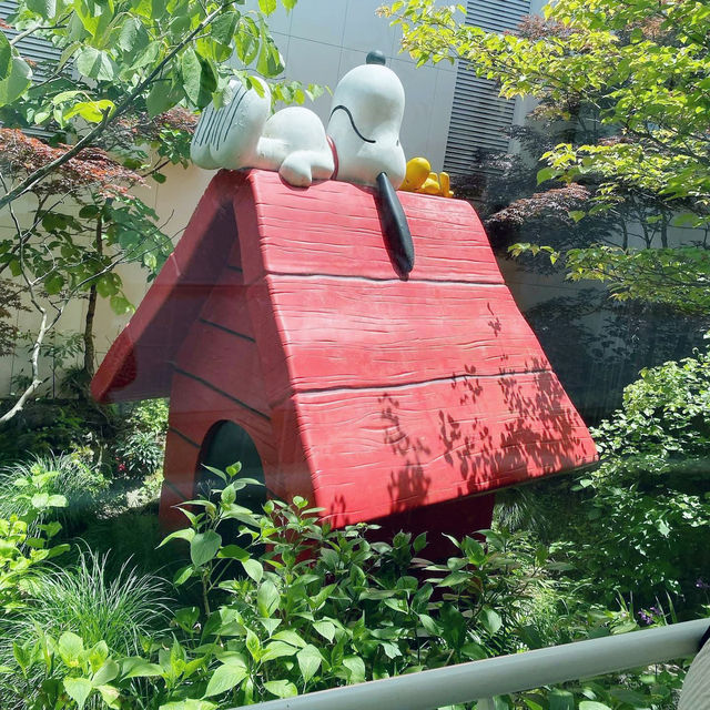 A Playful Escape at Snoopy Garden, Jeju 🇰🇷