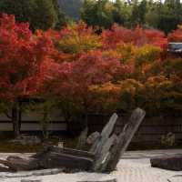 萬行寺🎡沉浸日本庭院之美！🍂