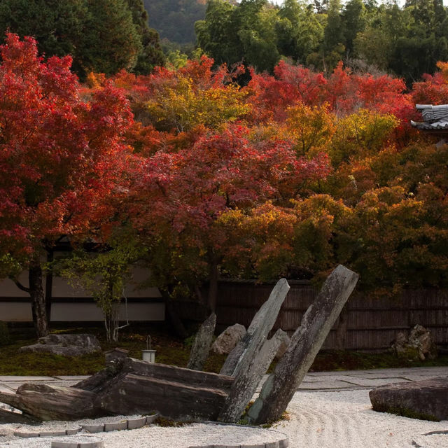 萬行寺🎡沉浸日本庭院之美！🍂