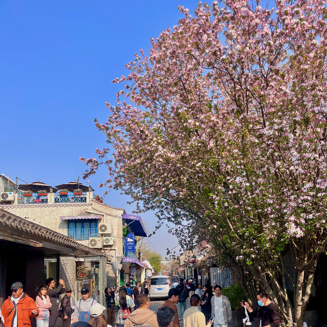 Lama Temple in Beijing with pink blossoms 🌺