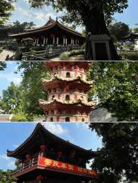 廣州寺廟打卡｜光孝寺