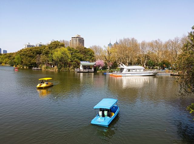 這個春天去上海長風公園玩點花的