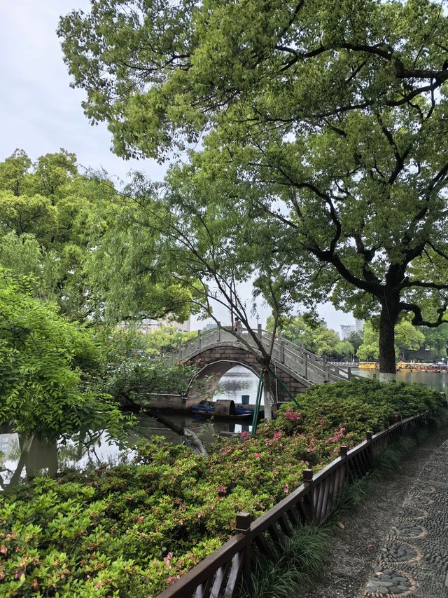 被譽為寧波“小西湖”的月湖公園