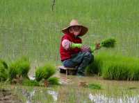 Celebrating farmers day!