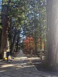 高野山——避開人流，和歌山縣的賞楓好地。