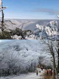 龍王山徒步賞雪：一場冰雪中的夢幻之旅。