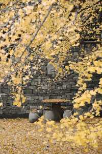 古觀音禪寺、白塔寺，萬金萬兩，落不盡。