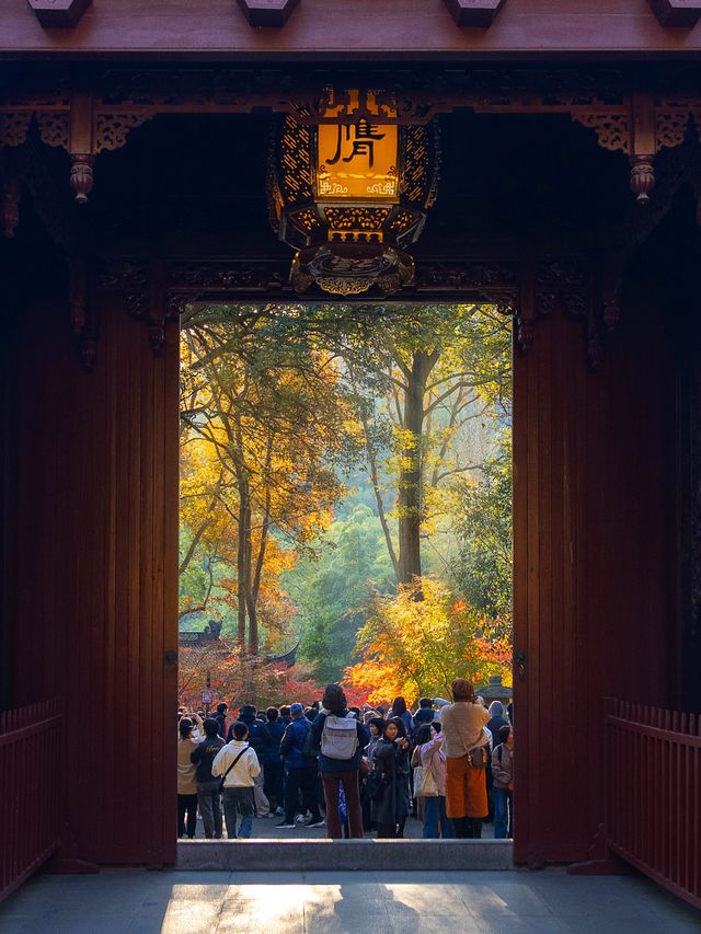 比起靈隱寺，我更愛杭州這座楓葉寺廟！