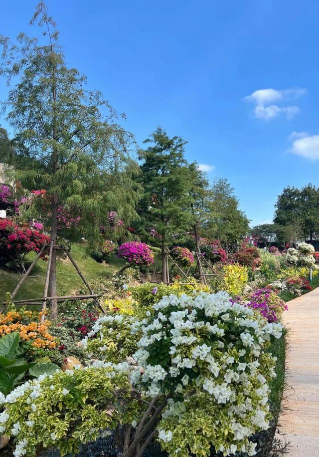 《廈門植物園｜繁花盛景，四季斑斕的生態畫卷