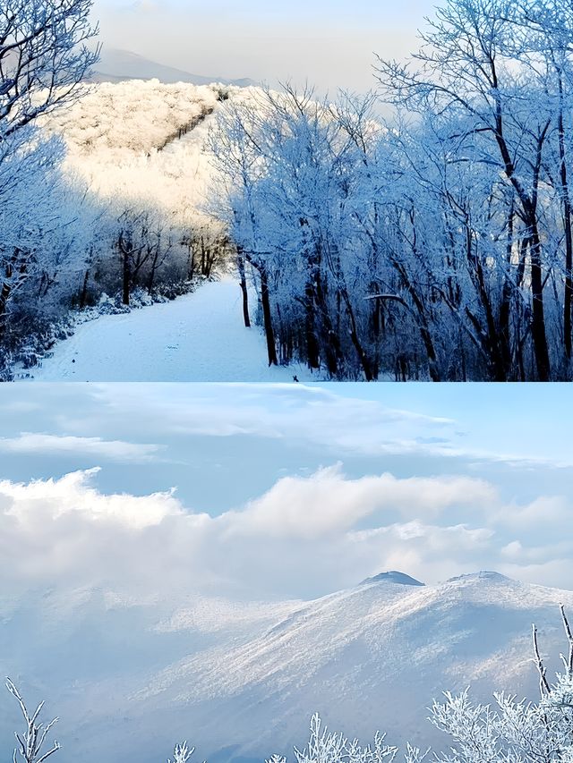 龍王山|我身體的每個朝向都是遠方