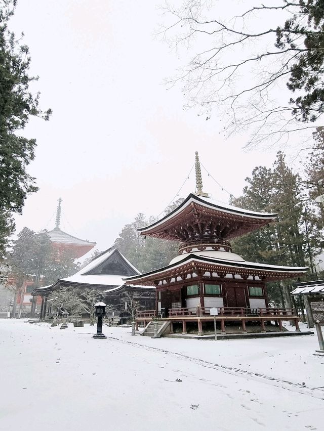 Danjo Garan Temple / A Snowy Day.