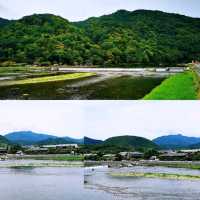 保津川漂流•渡月橋•竹林小徑•嵯峨野觀光小火車