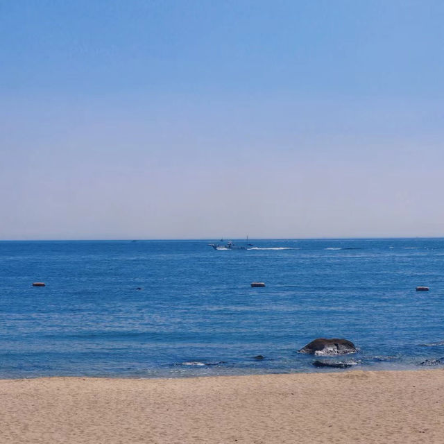 老虎海灘🏖️ 水清砂幼的海洋樂園！🏖️🌊