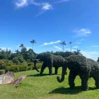 優雅絕美的法式莊園 ｜宜蘭仁山植物園