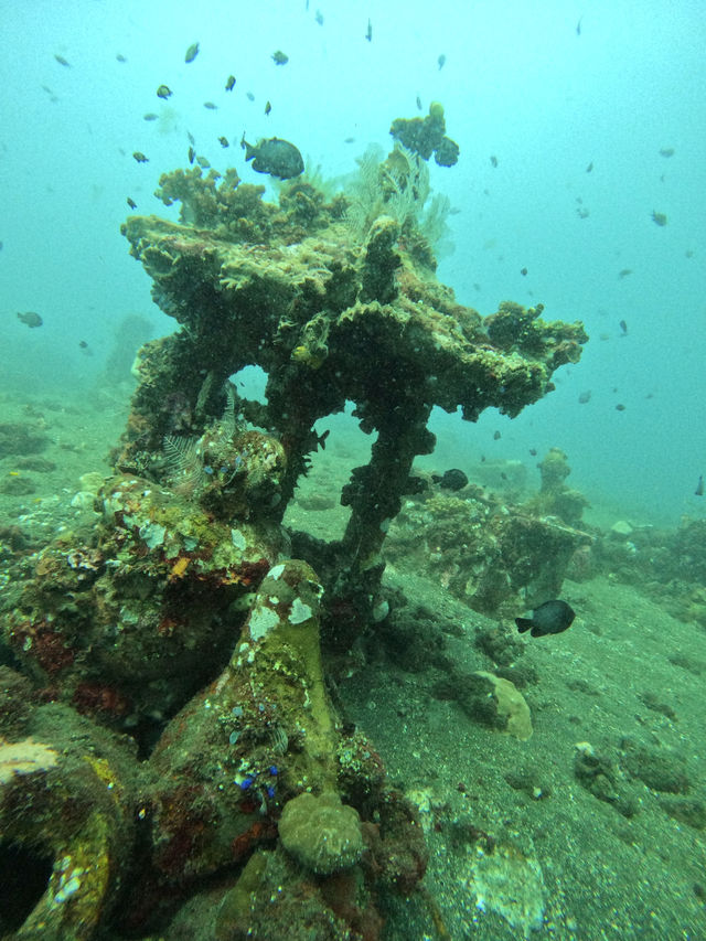 Scuba Diving At Coral Garden Bali 🪸🤿 