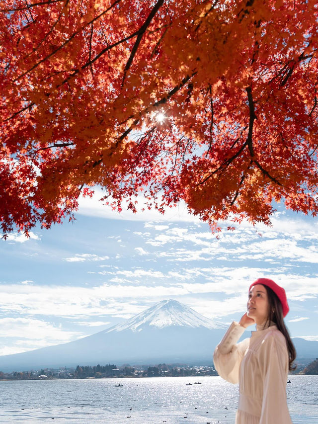 【山梨】富士山×紅葉の絶景🍁