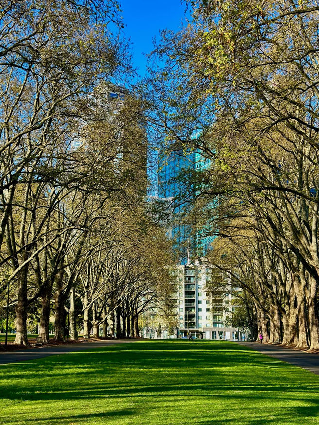 Carlton Gardens: A Tranquil Oasis in Melbourne