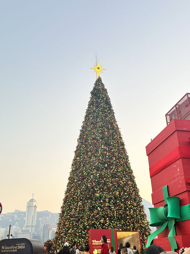 🇭🇰全香港最美最大聖誕樹🎄請不要再來了！