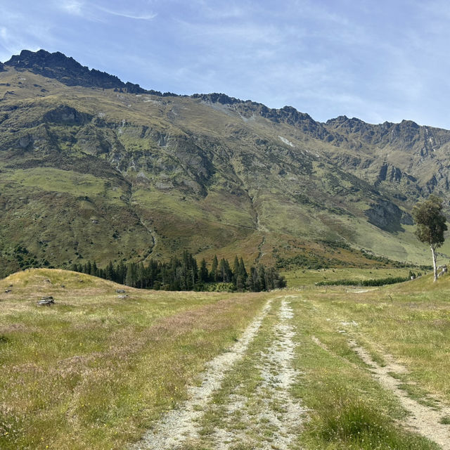 Walter Peak’s breathtaking horse riding experience