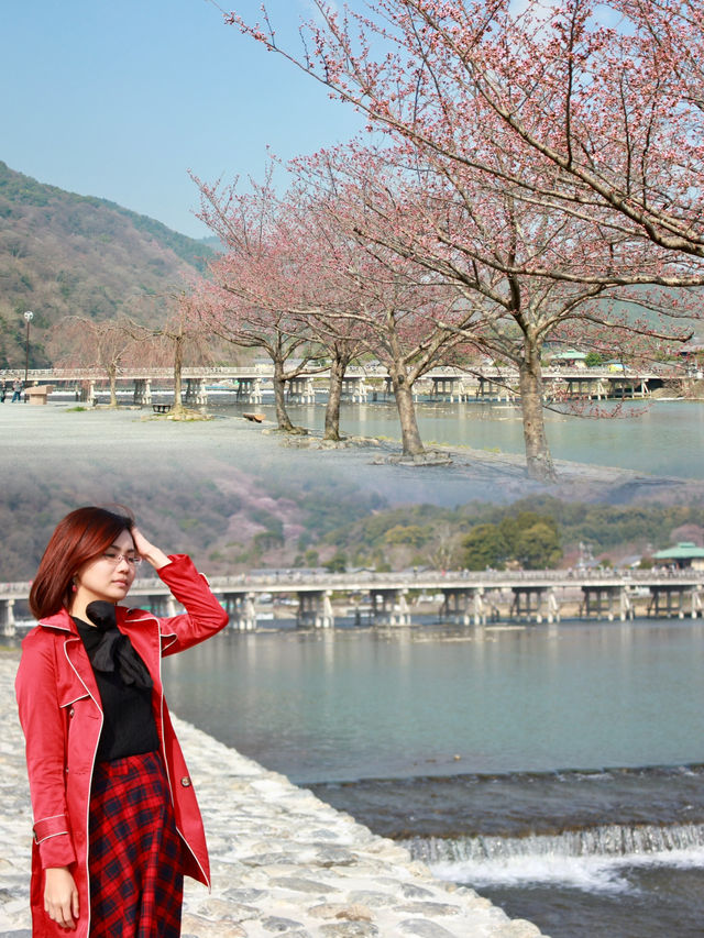  Spring Serenity Along the Katsura River