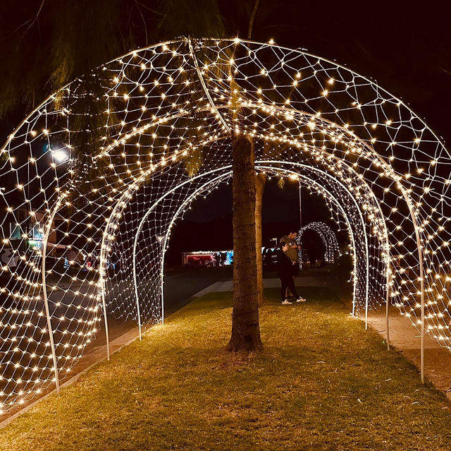 A Dazzling Christmas Wonderland in Botanic Ridge