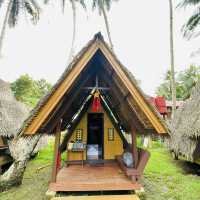 A peaceful jungle village hotel next to Loboc river 