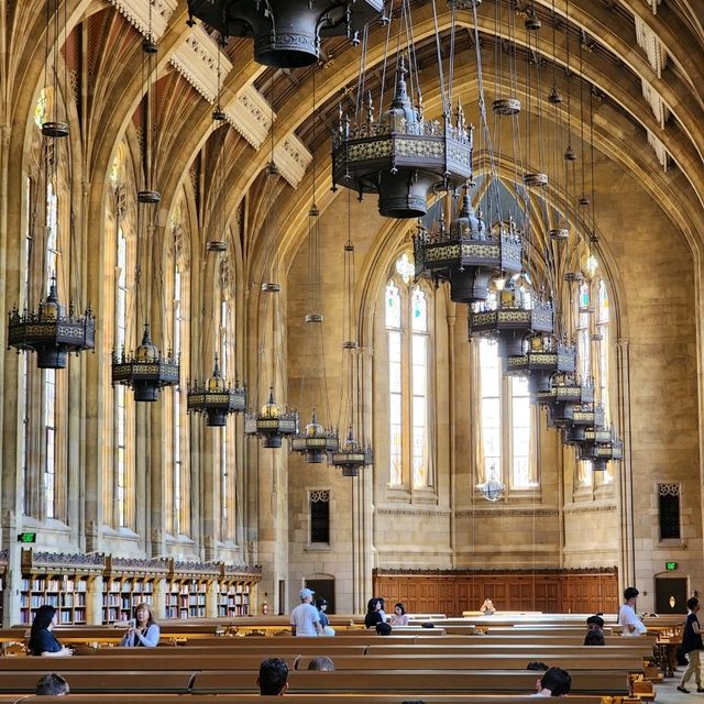 景點│西雅圖│蘇扎洛圖書館 Suzzallo Library - 哈利波特霍格華茲閱覽室