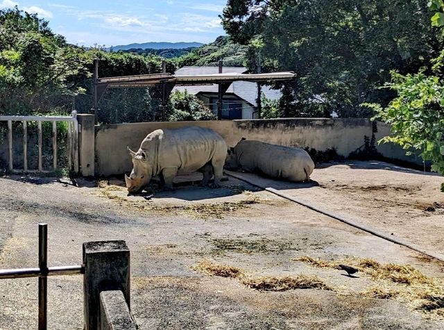 福岡動物園