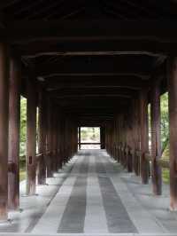 Serenity in Every Step: Exploring Tofuku-ji Temple