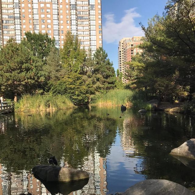 Kariya Park in autumn 🇨🇦