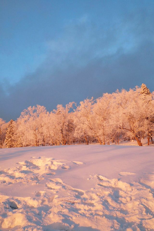 這裡不是挪威芬蘭！這裡是東北雪谷霧凇嶺！！！