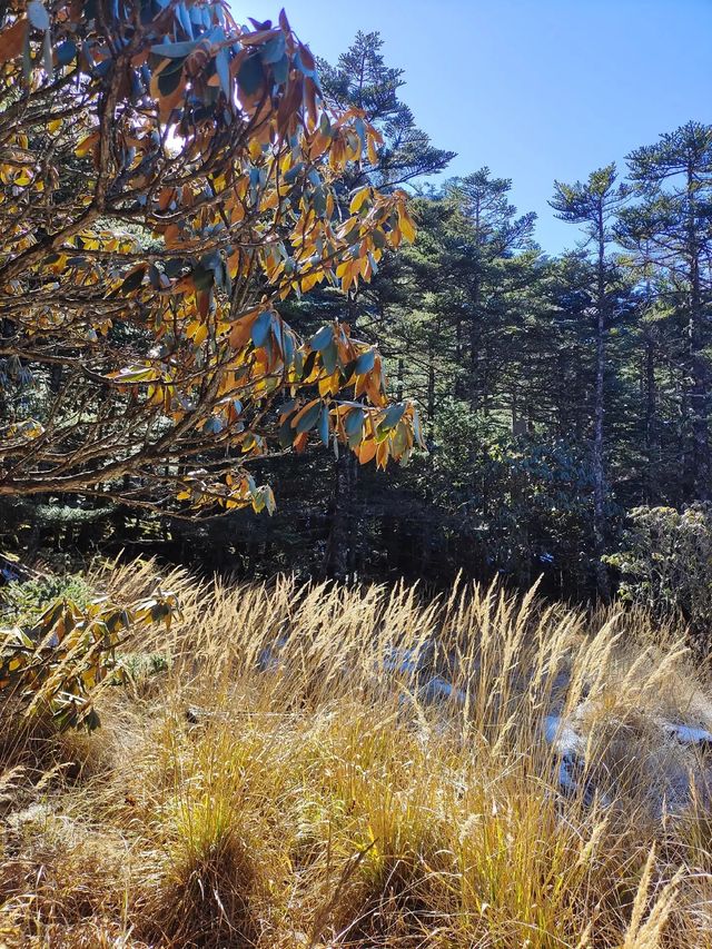 只有到達山頂，才能看見的風景