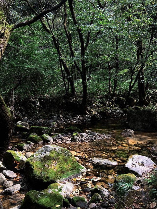 陝西少華山|自然美景如畫。