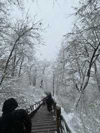 西安南五台|賞一場秦嶺初雪。