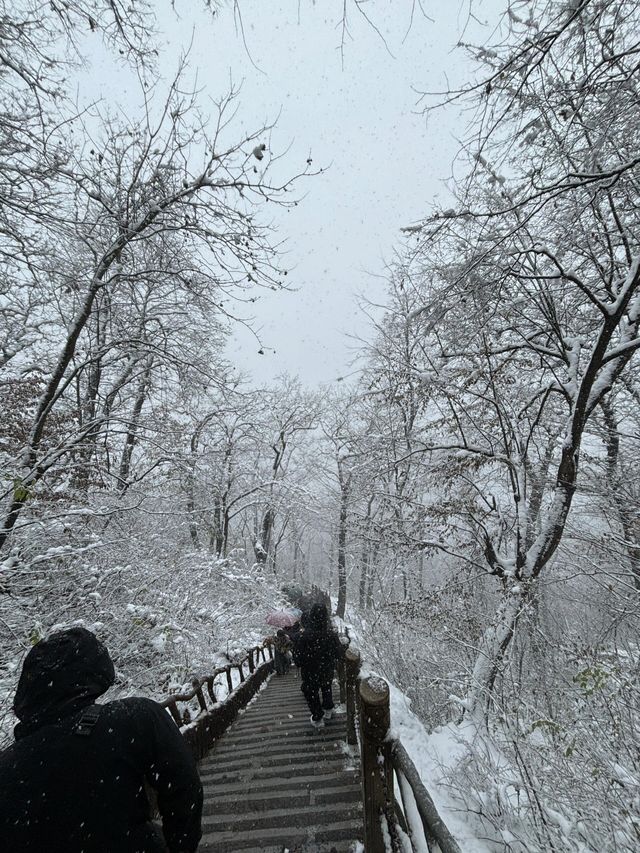 西安南五台|賞一場秦嶺初雪。