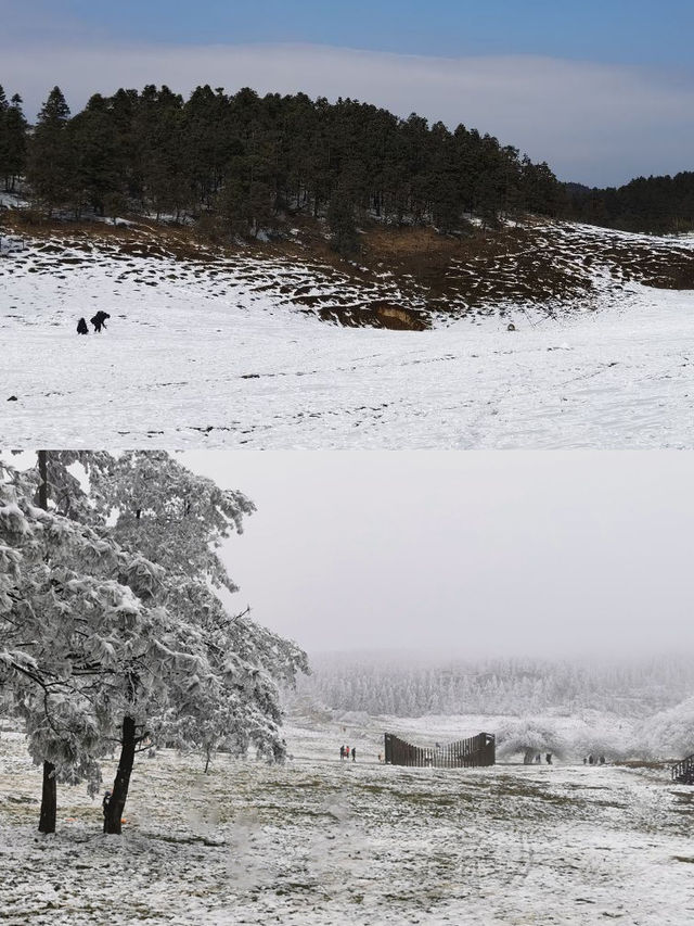 重慶仙女山睇雪一日遊詳細攻略。