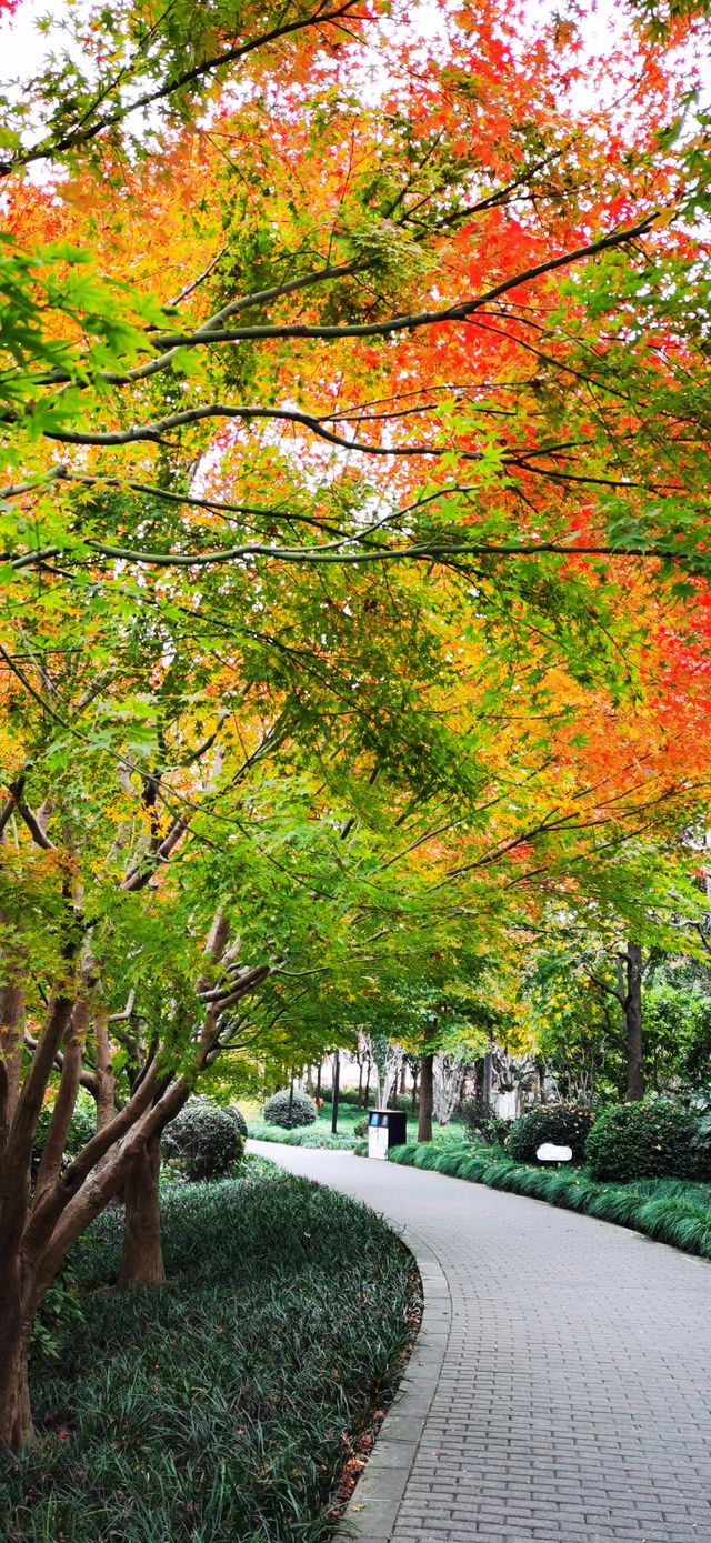 上南公園：川楊河畔的社區公園