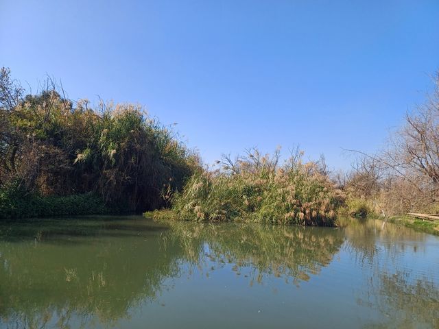 撈魚河公園——樹和鳥的樂土