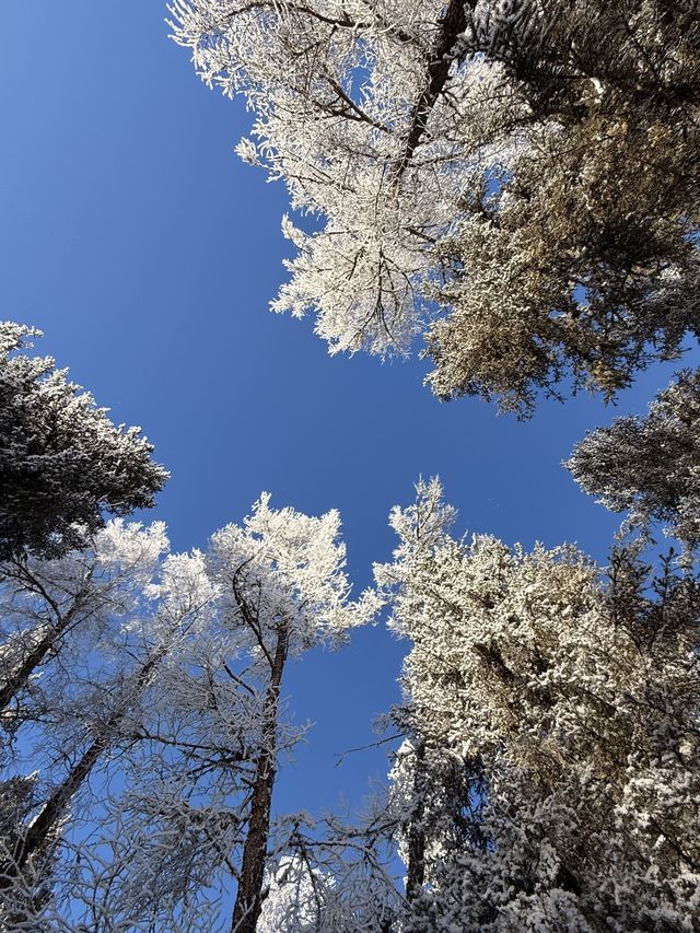 元旦滑雪季新疆烏魯木齊-北疆特全攻略