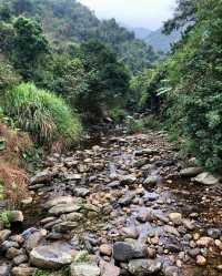 深圳登山——梧桐山（十八）