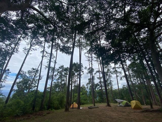 ชมธรรมชาติกับอุทยานแห่งชาติดอยขุนตาล⛰️🪵