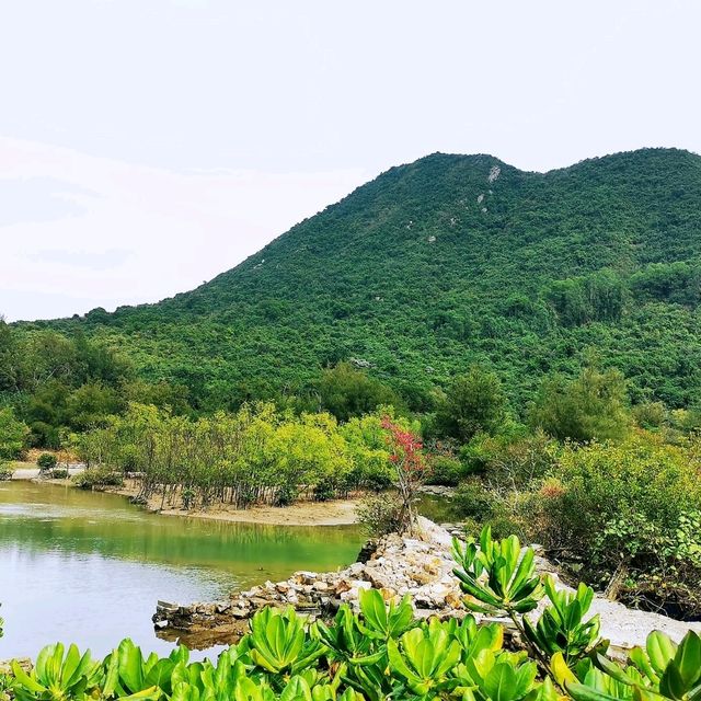 楊梅坑海岸步道•鹿嘴山莊海蝕崖