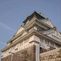 🇯🇵 Osaka castle park | Mesmerizing view of cherry blossom 🌸